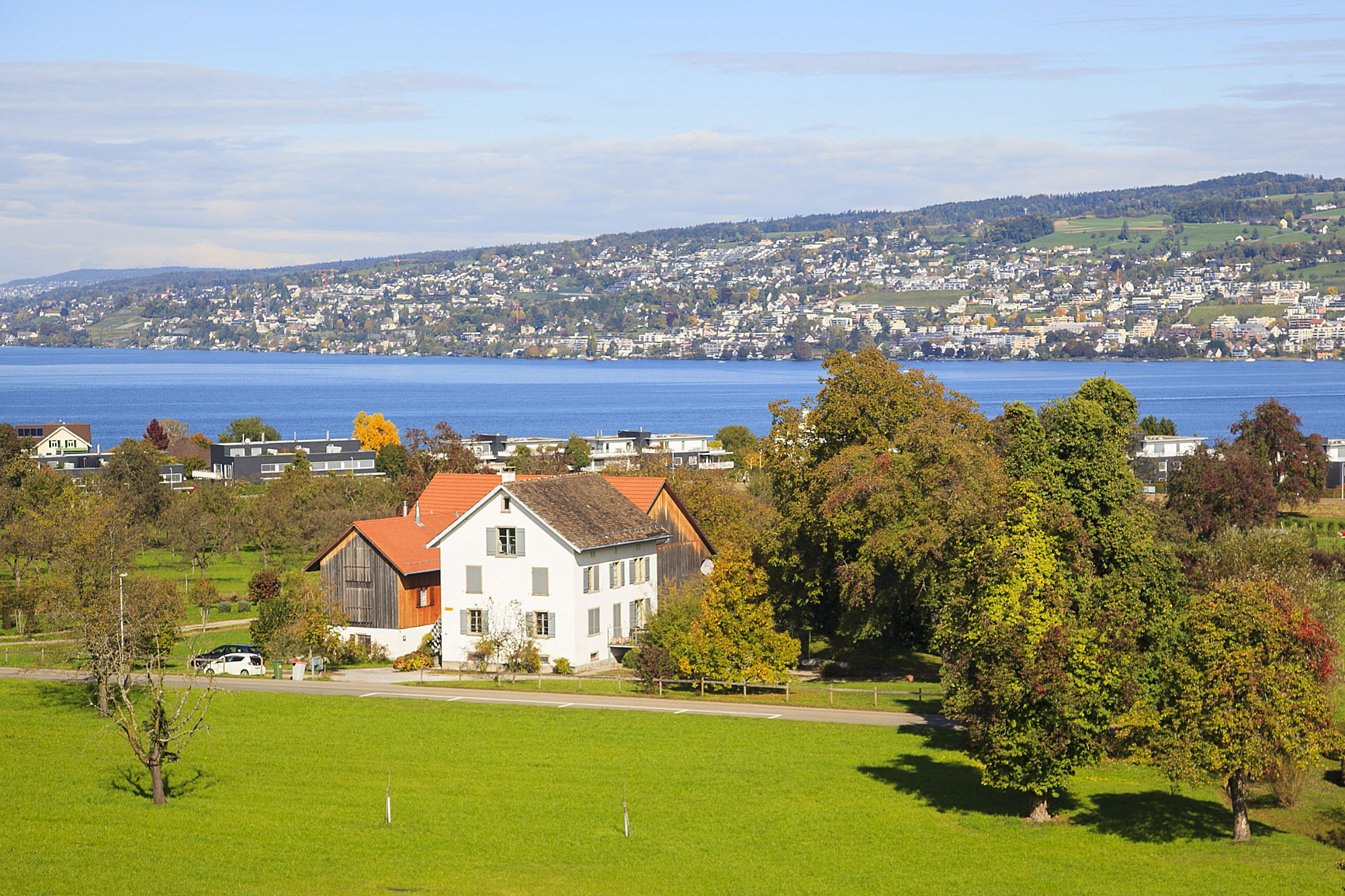 Horgen
